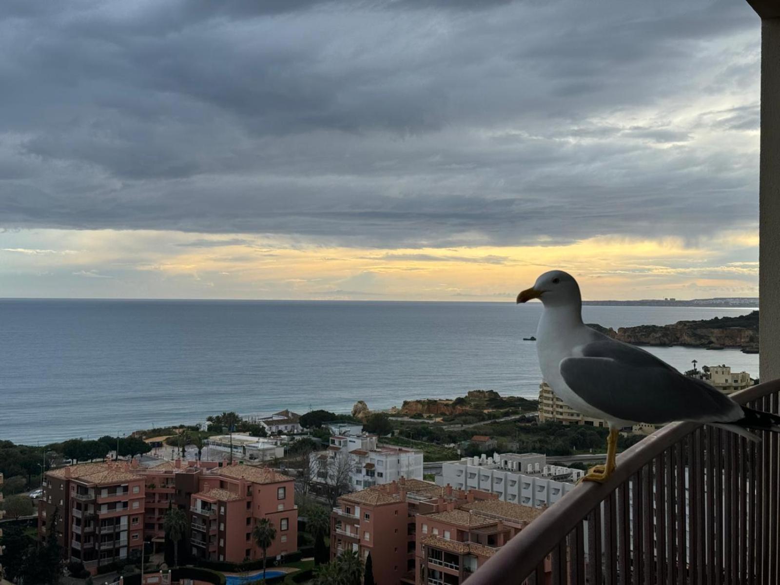 Sofiamarholidays - Casa Praia Mar Портиман Екстериор снимка